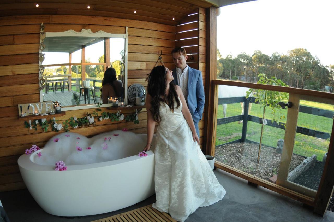Bed and Breakfast Wagtail Nest Country Retreat - Longford Vic 3851 Sale Exterior foto